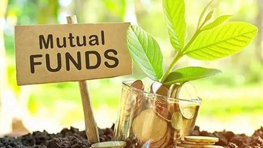 Edelweiss MF stops fresh inflow in 7 overseas schemes