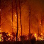 Photos: France, Spain battle ‘monster’ wildfires as more heat looms