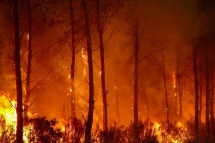 Photos: France, Spain battle ‘monster’ wildfires as more heat looms