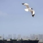 Gov plans up to quarter of 2027 LPG imports from US, sources say