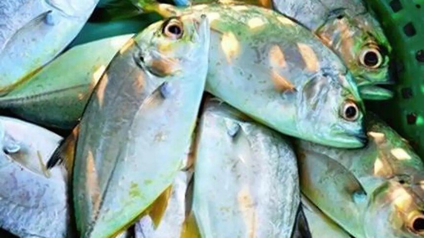 India to come out soon with export-oriented fisheries policy with focus on inland fishery
