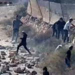 Timeline: The one-week siege of Qusra by Israeli settlers in the West Bank