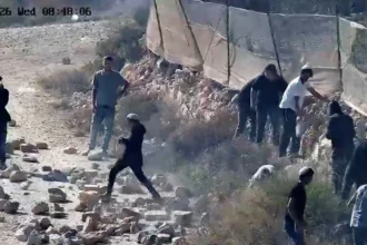 Timeline: The one-week siege of Qusra by Israeli settlers in the West Bank