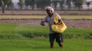 India’s fertiliser subsidy may exceed ₹3 lakh crore in the current fiscal