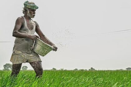 Kharif Harvest Outlook: Strong prices expected for most crops, except bajra and moong
