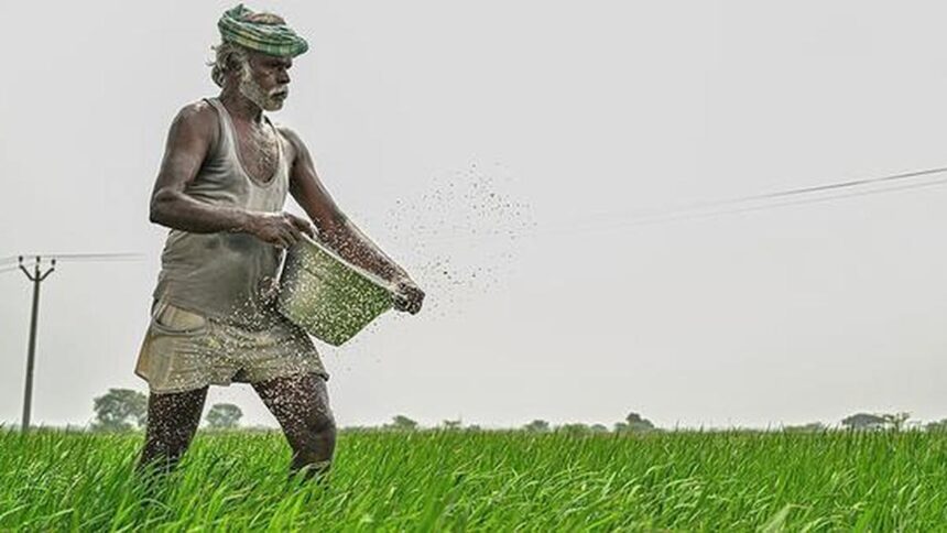 Kharif Harvest Outlook: Strong prices expected for most crops, except bajra and moong