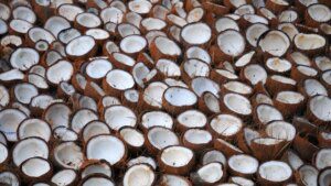 Copra prices may rule at ₹145-150/kg in October on higher demand, says TNAU
