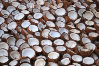 Copra prices may rule at ₹145-150/kg in October on higher demand, says TNAU