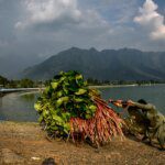 Photos: Kashmir’s Dal Lake faces environmental and climate challenges