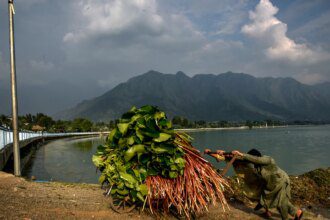 Photos: Kashmir’s Dal Lake faces environmental and climate challenges