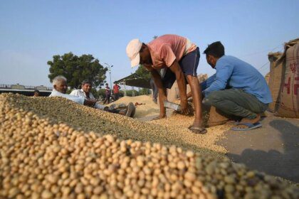 India’s oilmeal exports tumble 65% in July as soybean meal shipments slump